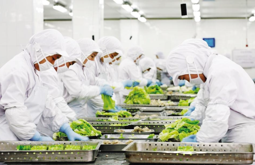 ISO22000食品安全管理体系认证